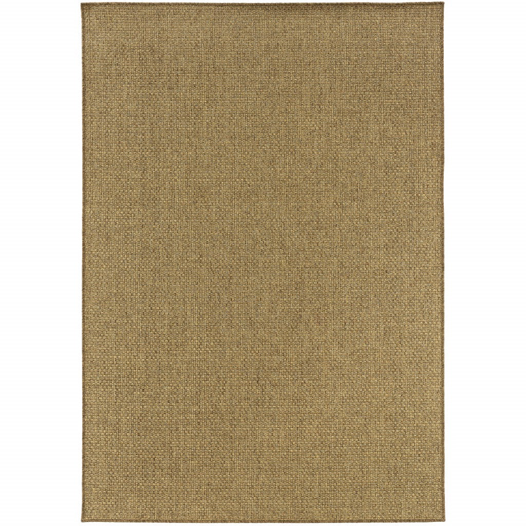 2' X 4' Tan Indoor Outdoor Area Rug